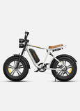 M20 Cruiser eFatbike