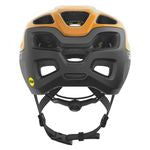 Scott Vivo Plus (CE) Helmet