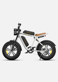 M20 Cruiser eFatbike