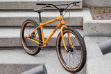Surly Lowside