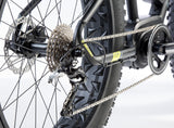 Leaderfox Borgo eFatbike - Ex Tour Fleet