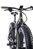 Leaderfox Borgo eFatbike - Ex Tour Fleet