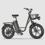 Fiido T1 pro Utility Electric Bike